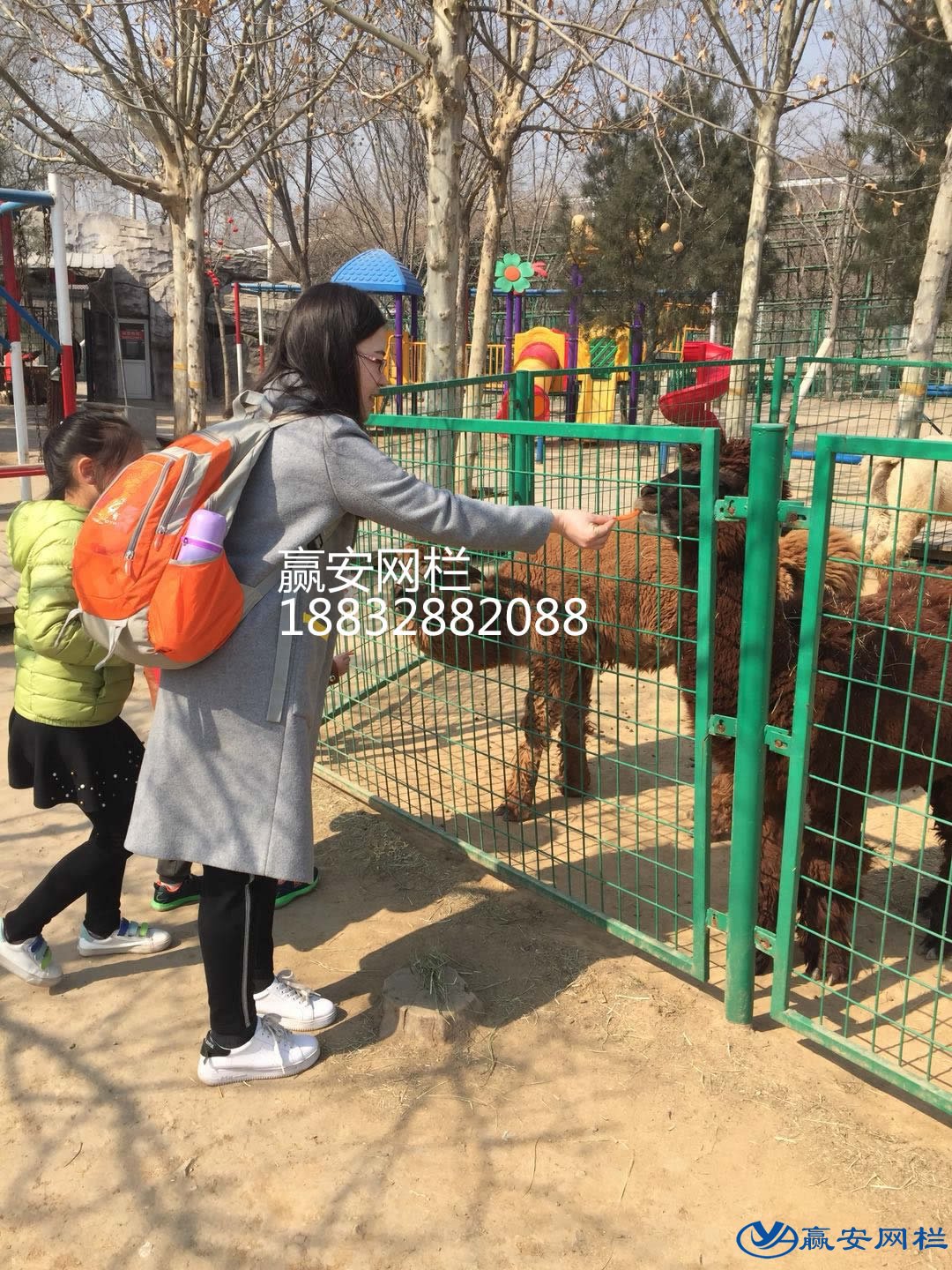 動物園圍欄網